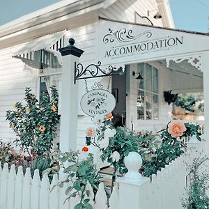 Canungra Cottages - Boutique Bed And Breakfast Exterior photo