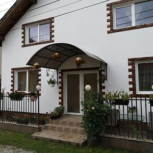 Casa Cu Flori Guest House Mihai Viteazu  Exterior photo