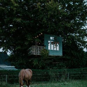 Treehouse Escape Hotel Kvaerndrup Exterior photo