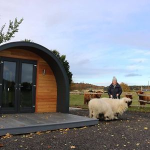 Glampods Glamping Pod - Meet Highland Cows And Sheep Elgin Villa Exterior photo