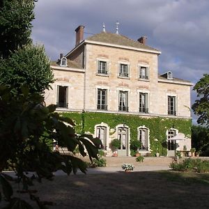 Chateau Des Charmes Guereins Exterior photo