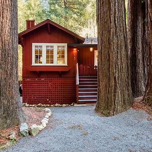 Redwood Retreat! Redwoods! Walk To River!! Hot Tub!! Bbq! Central Air!! Guerneville Exterior photo