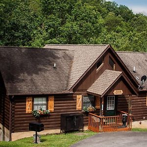 Idyllic Cabin With Hot Tub Less Than 2 Mi To Dollywood! Sevierville Exterior photo