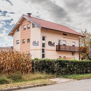 Rooms Vila Medena Brezice Exterior photo