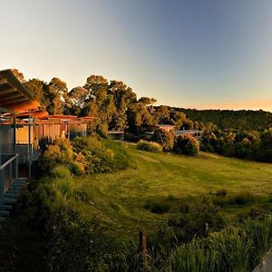 O'Reilly'S Rainforest Retreat Canungra Exterior photo