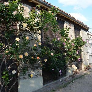 La Maison Des Herons Le Vanneau-Irleau Exterior photo