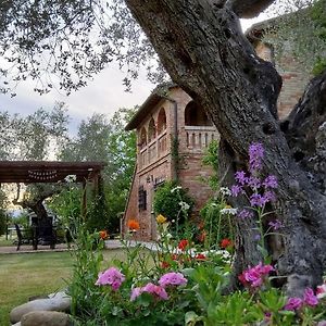 Agriturismo Terralieta Villa Roseto Degli Abruzzi Exterior photo