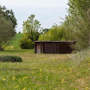 La Decouverte, Jacuzzi, Sauna, Et Terrasse Avec Vue Sur Lac A La Campagne Entre Toulouse Et Auch Catonvielle Exterior photo