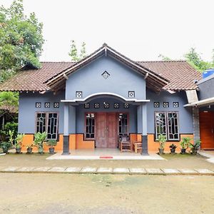 Mutiara Guesthouse Yogyakarta Exterior photo
