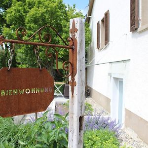 Ferienwohnung Im Weingewolbe Staufen im Breisgau Exterior photo