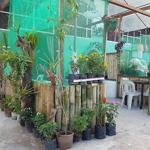 Balai Flordeliza Guest House & Garden Cafe Liloan Exterior photo