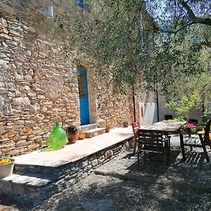 La Chouette Bed & Breakfast Pieve di Teco Exterior photo