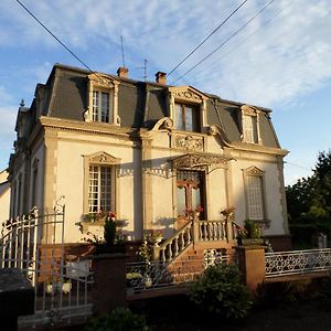 Chambre Individuelle A Lit Double Dans Une Maison De Maitre De 1904 Haguenau Exterior photo