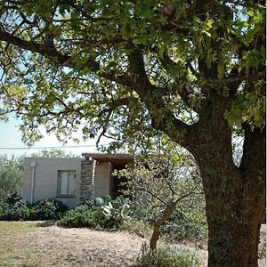Cottage Amidst Vines And Oak Trees Ioulis Exterior photo