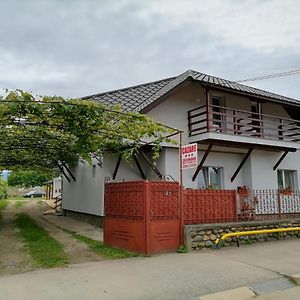 Casa Mirandre Apartment Hateg Exterior photo