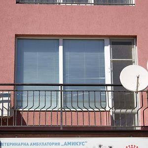 Central Couch Studio Pomorie Exterior photo