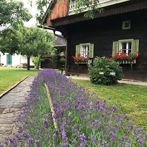 Bauernhaus Sud- West- Steiermark Fur Radfahrer, Familien- Und Feste Mit Freunden Sankt Martin im Sulmtal Exterior photo