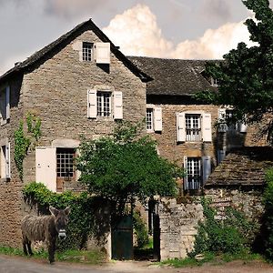 Maison D'Hotes La Singuliere Severac-d'Aveyron Exterior photo
