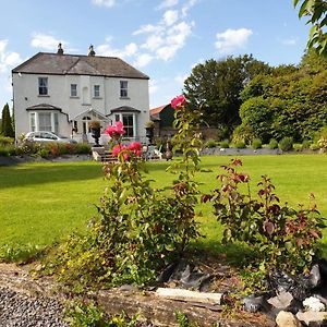 Mount Pleasant Country House Guest House Lucan Exterior photo