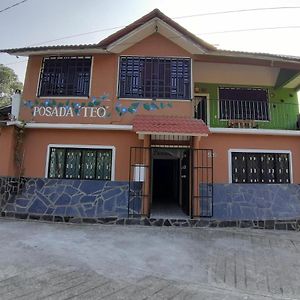 Posada Teo Xilitla Exterior photo