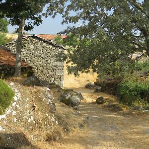Restored, Rustic And Rural Mini Cottage In Typical Portuguese Village Viseu Exterior photo