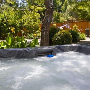 Villa Mimosa Hot Tub Fire Table Bbq Walk To River Dog Friendly Guerneville Exterior photo