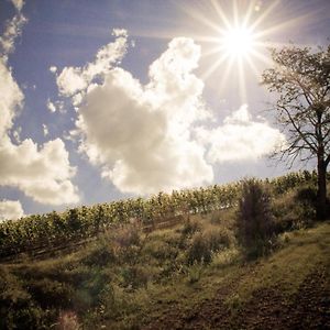 Landhotel & Weingut Espenhof Flonheim Exterior photo