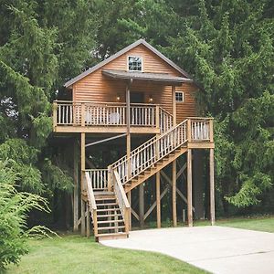 Lofty Willows Treehouse By Amish Country Lodging Millersburg Exterior photo