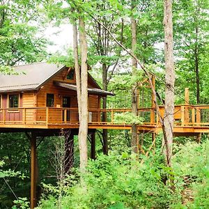 Treehouse #5 By Amish Country Lodging Villa Millersburg Exterior photo