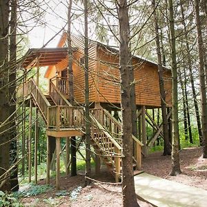 Whispering Pines Treehouse By Amish Country Lodging Villa Millersburg Exterior photo