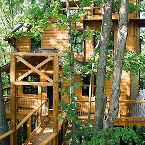 Treehouse #2 By Amish Country Lodging Villa Millersburg Exterior photo