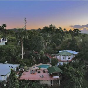 Pancho'S Paradise - Rainforest Guesthouse With Pool, Gazebo And View Canovanas Exterior photo