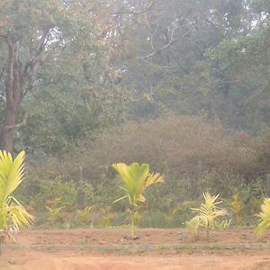Room In Farmhouse - Dandeli - Aura Jungle Stay Ganeshgudi Exterior photo
