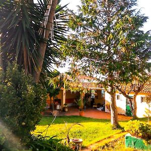 Lugar Saloio Sintra Bed & Breakfast Exterior photo