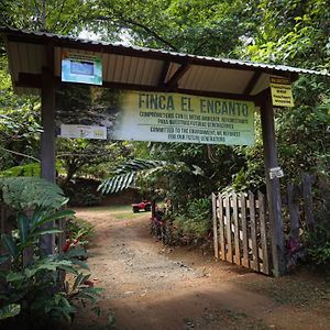 Encanto Eco Lodge Sierpe Exterior photo