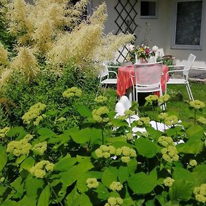 Secret Garden House In The Center Of Sigulda Villa Exterior photo
