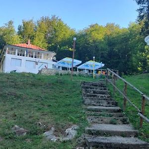 Cabana Cerbu Hotel Bozovici Exterior photo