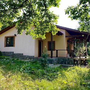 3 Bedroom House In The National Park Of Dilijan Exterior photo