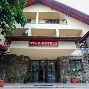 Teju Hotels Slanic Exterior photo