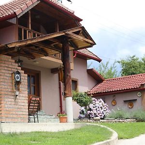 Casa Darius Villa Novaci-Straini Exterior photo