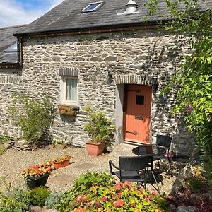 Coedmor Cottages Lampeter Exterior photo