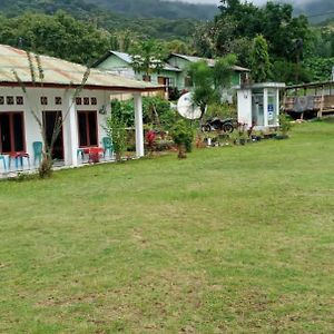 Rice Field Guest House Kelimutu Exterior photo