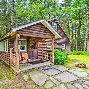 Secluded And Quiet Pocono Mountain Cabin With Hot Tub! Villa Kunkletown Exterior photo