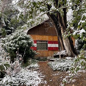 Cabana De Montana Estilo Alpino Con Acceso A Rio Villa Rio Blanco Exterior photo