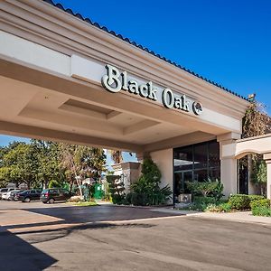 Best Western Plus Black Oak Paso Robles Exterior photo
