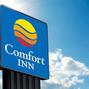 Comfort Inn & Suites Fultondale Exterior photo