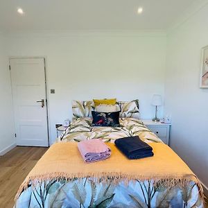 Rooms In A Beautiful House With Free On St Parking Brighton Exterior photo