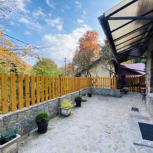 Apartment Carol Private Yard With Barbeque And Parking Sinaia Exterior photo