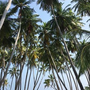 Gaskara Guesthouse Shaviyani Atoll Exterior photo