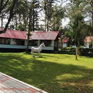 The Wild Fo'Rest Resorts Masinagudi Exterior photo